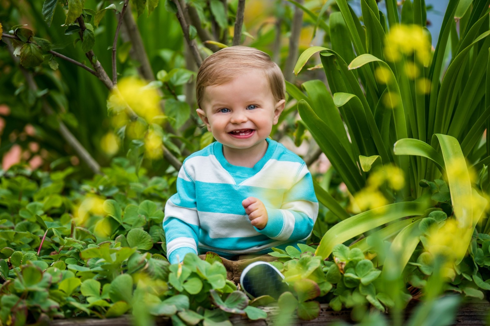 A toddler sitting among flowers