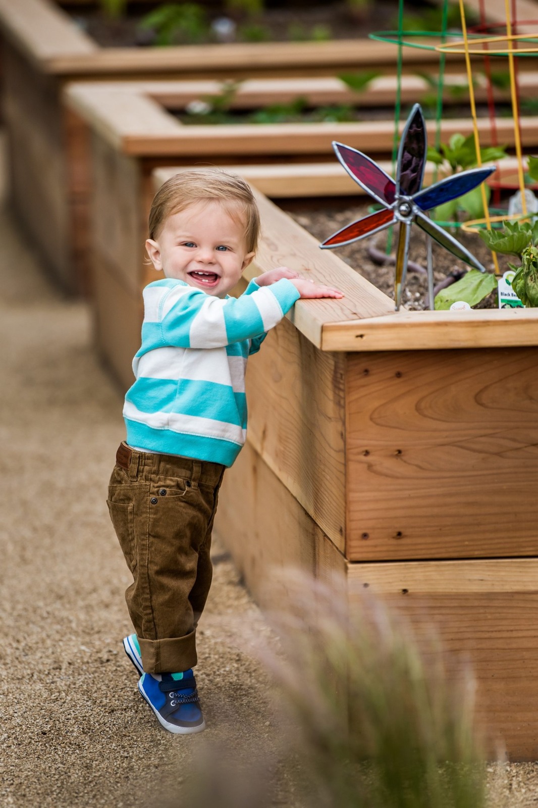 A toddler standing beside a planter